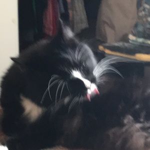 Meet your Posher, Lynda